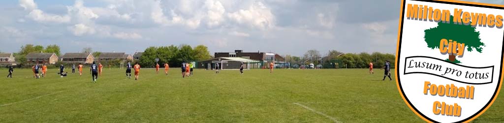 Tattenhoe Lane Playing Fields